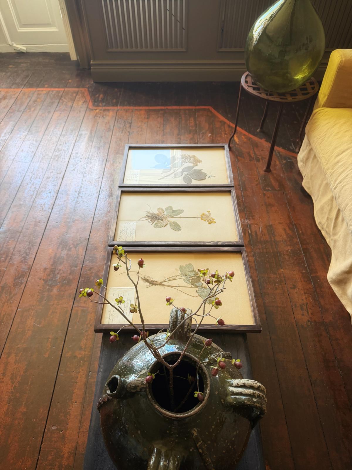 Herbarium